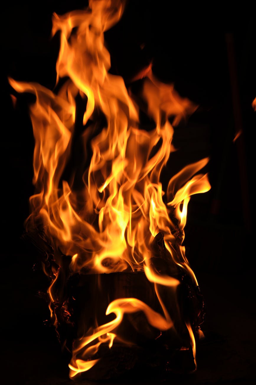 Do Fogo de Fahrenheit 451 ao Mundo Digital